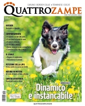 quattrozampe